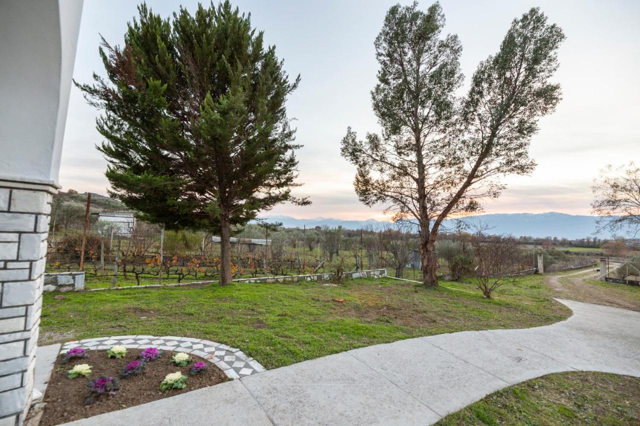 Τrικαλα - Μετεorα-Villa Toscana Tríkala Esterno foto